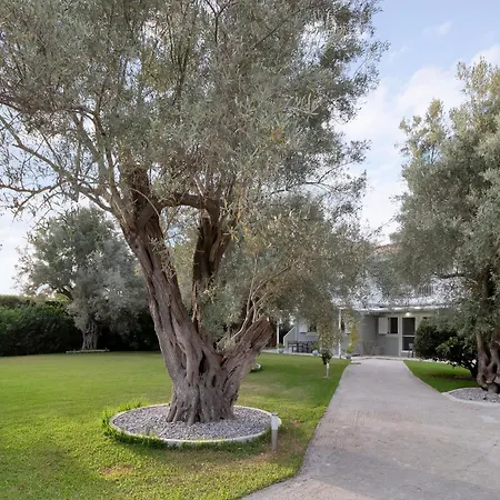 Apartment Elaia 3 Lefkáda